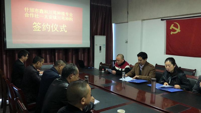 太安镇的签约仪式.png