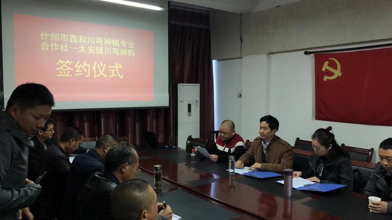 与太安镇签协议.png