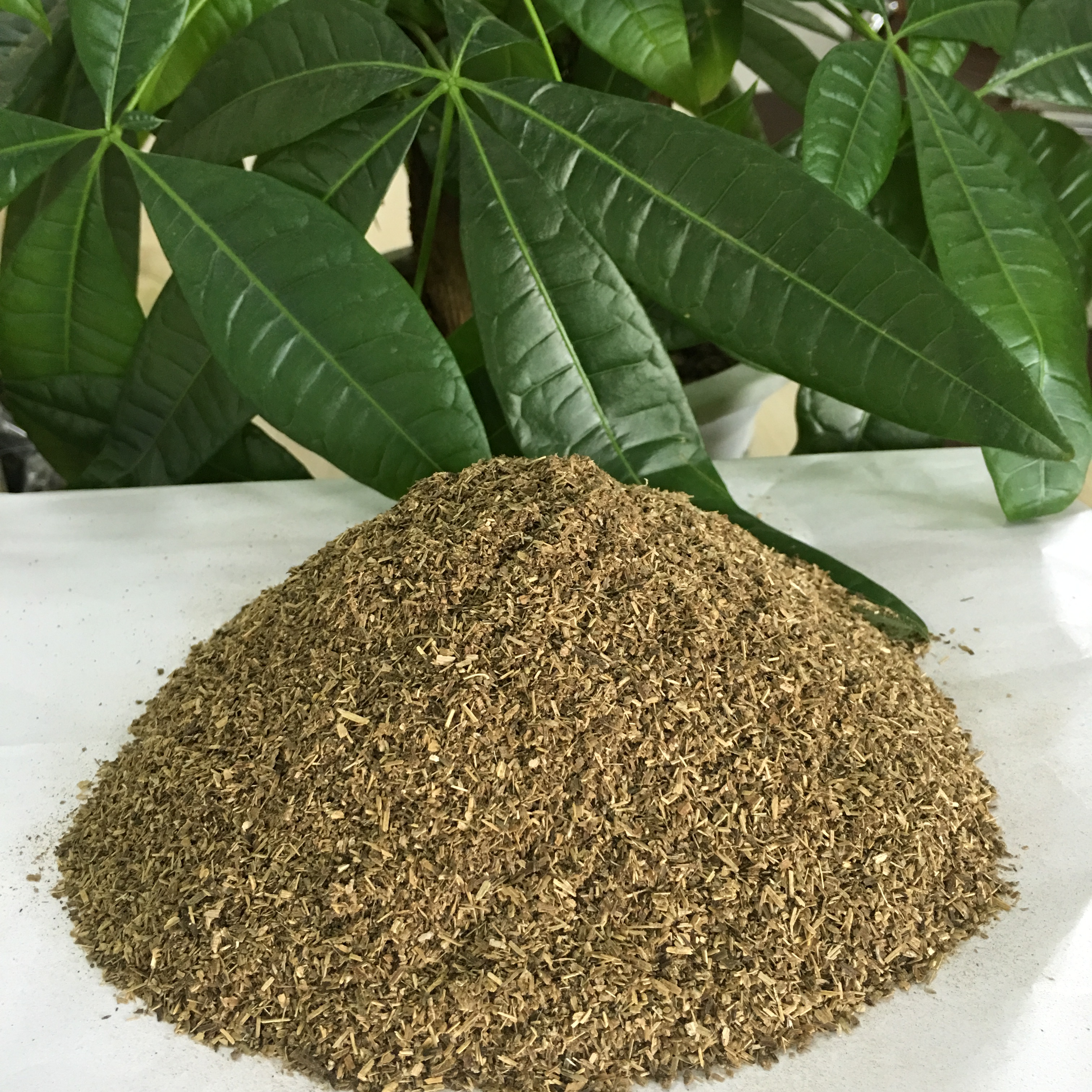 川芎秸秆粉