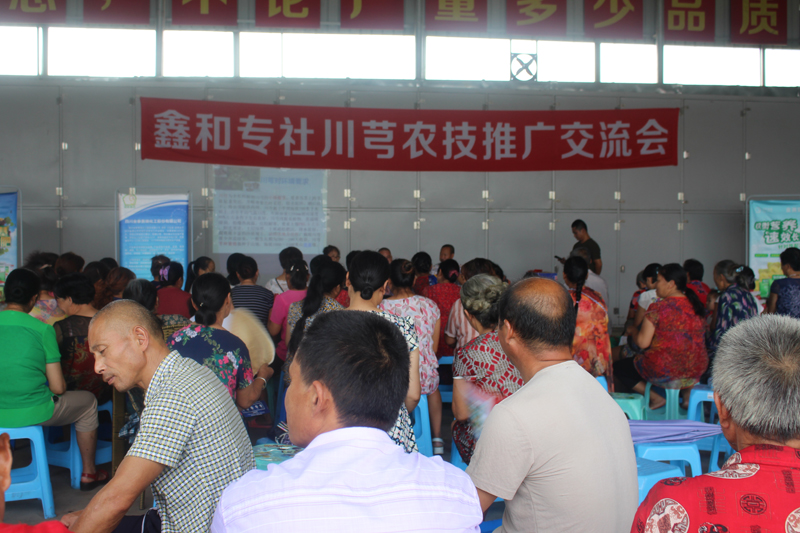 鑫和川芎电商平台交流会.JPG